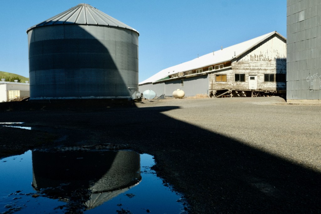 May 2026 - Silo in puddle